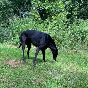 Meet your Posher, Jackson